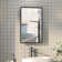 Latitude Run® Adelind Matt Black Recessed Bathroom Medicine Cabinet ...